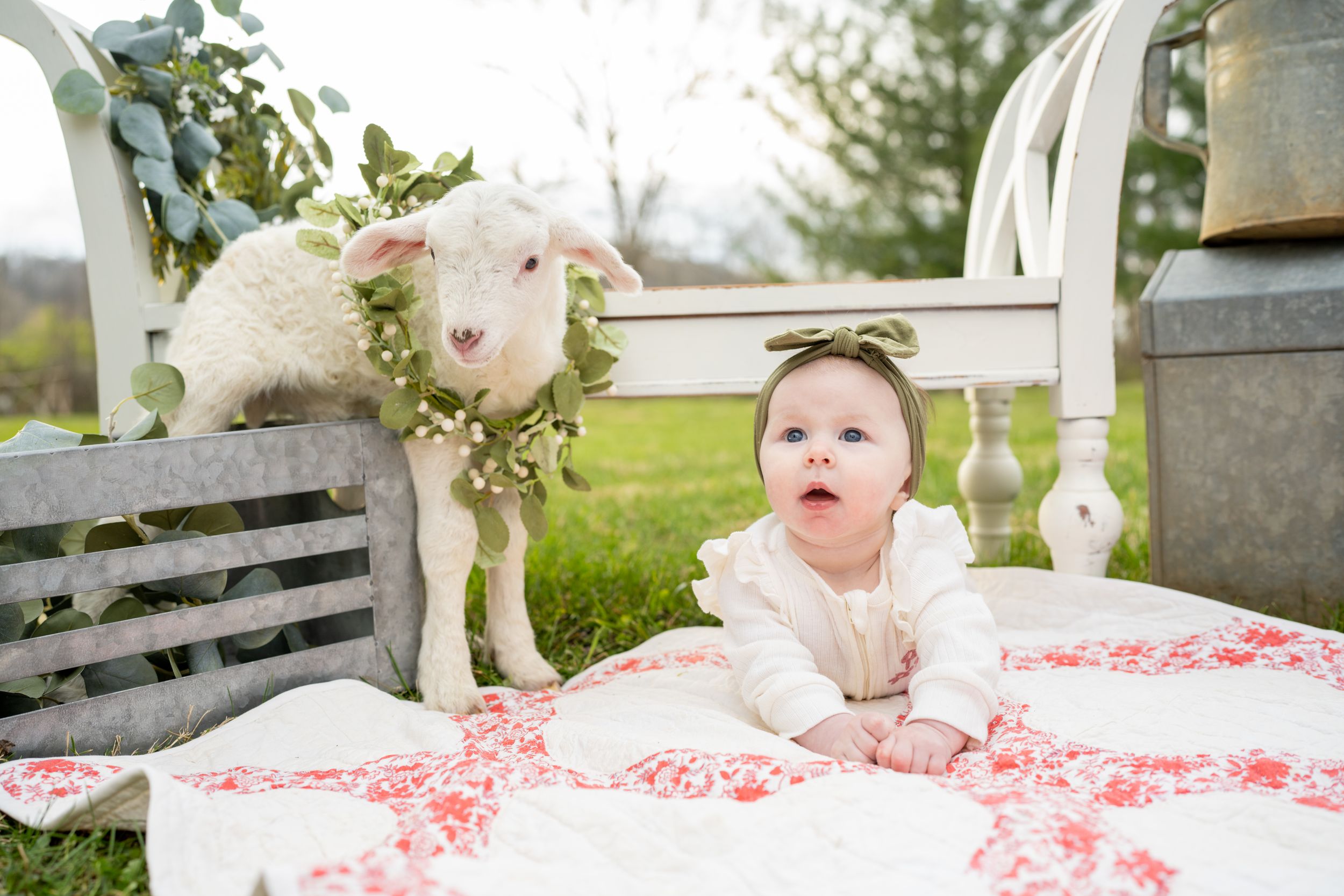 Photography, photographer, Johnson City, East Tennessee, Kirsten Litz Photography, photographer near me, photographer