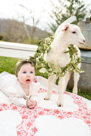 Photography, photographer, Johnson City, East Tennessee, Kirsten Litz Photography, photographer near me, photographer