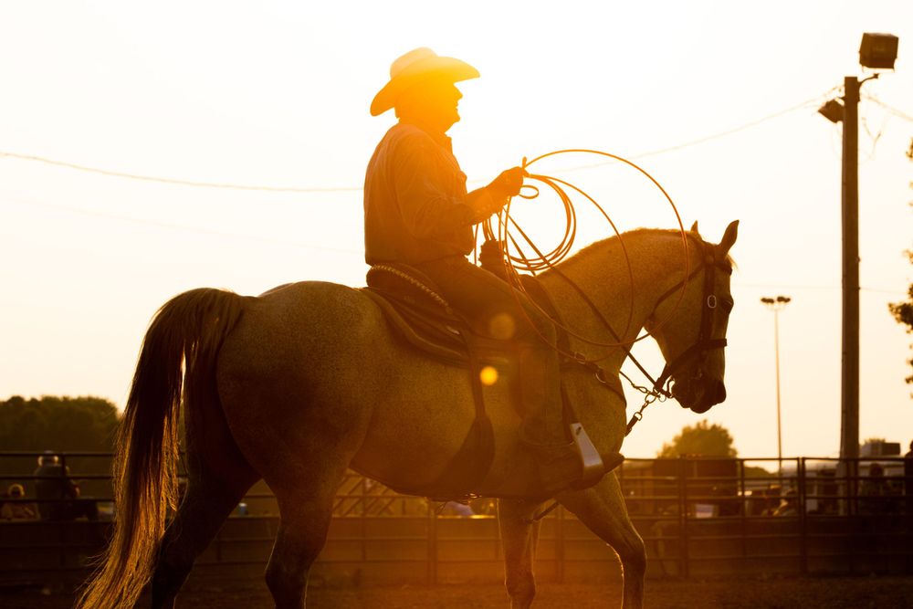 Silhouette of a cowboy on horseback holding a lasso against a sunset sky.