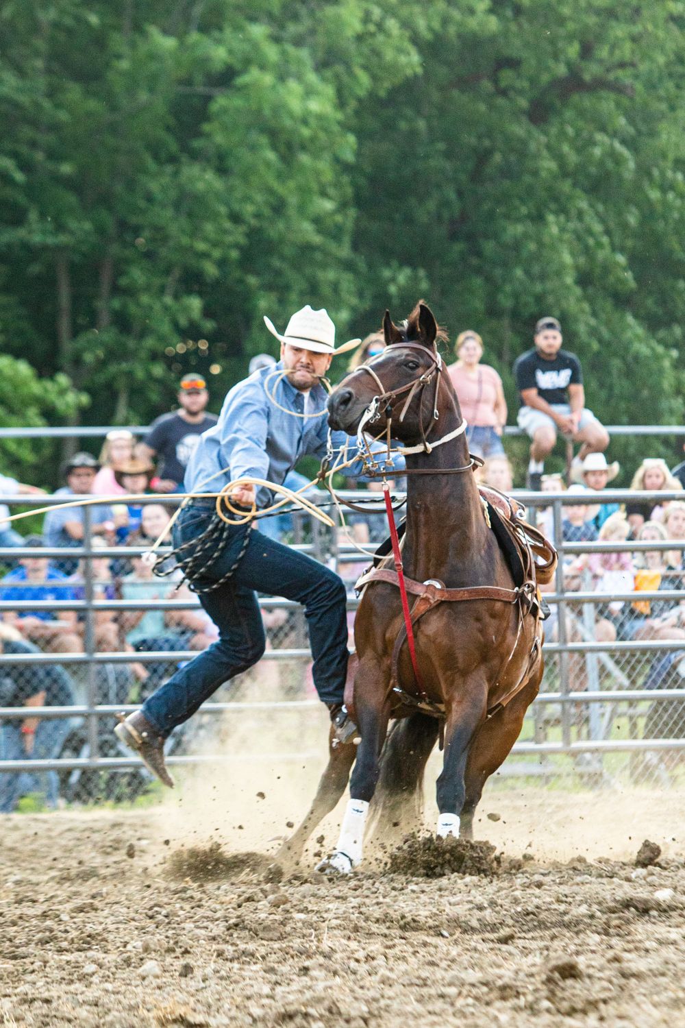 Action sequence of steer wrestling at rodeo with spectators watching from behind fence.