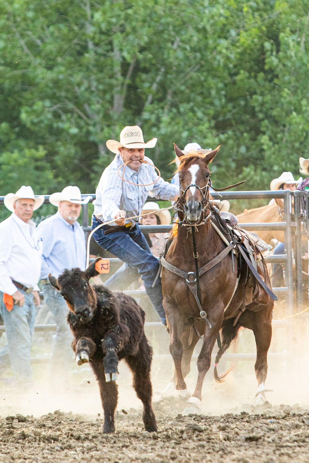 Multiple riders compete in rodeo event with horses kicking up dust in arena.