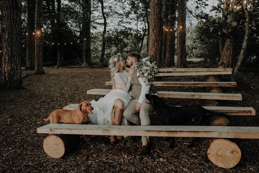 A wedding couple sits on rustic log benches in a forest setting.