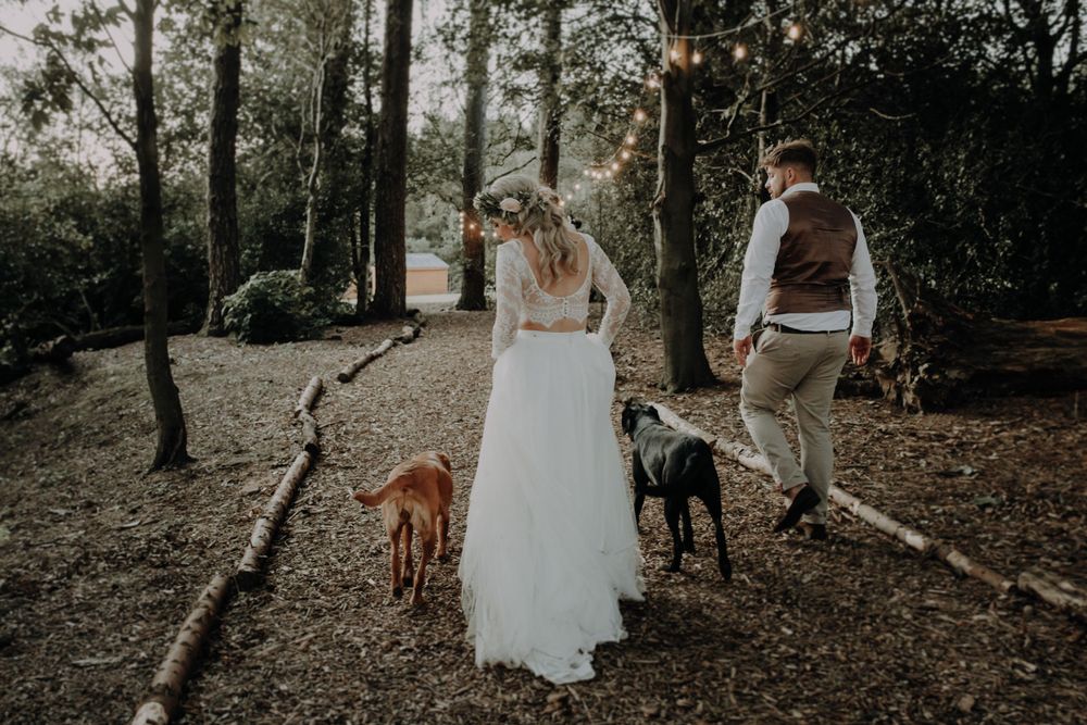 A wedding couple walks through a pine forest with their dogs on a natural path.