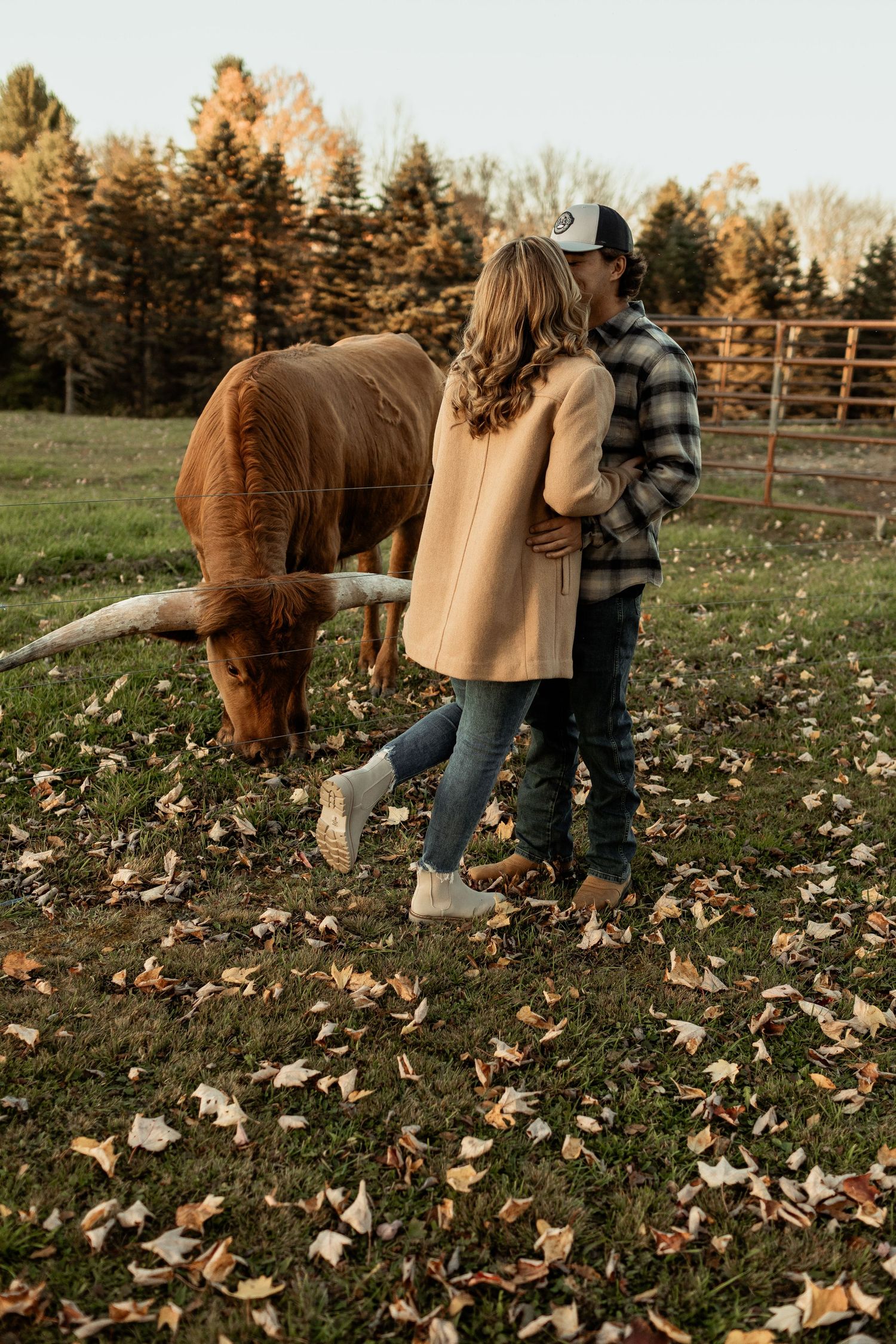 A couple shares a romantic moment near a grazing brown cow in an autumn field with fallen leaves.
