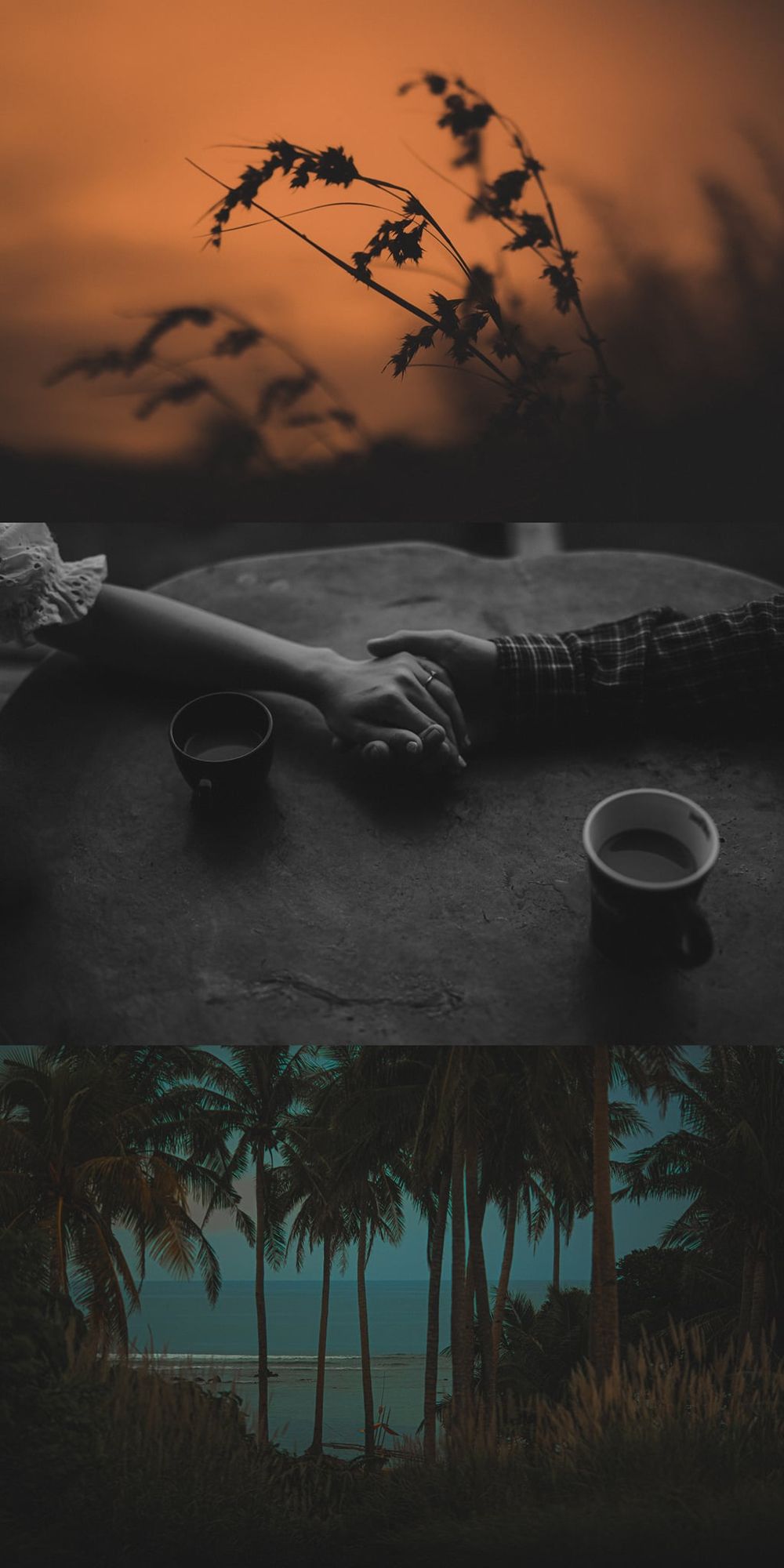 Collage of couple holding hands at sunset, coffee cups on table, and tropical palm trees.