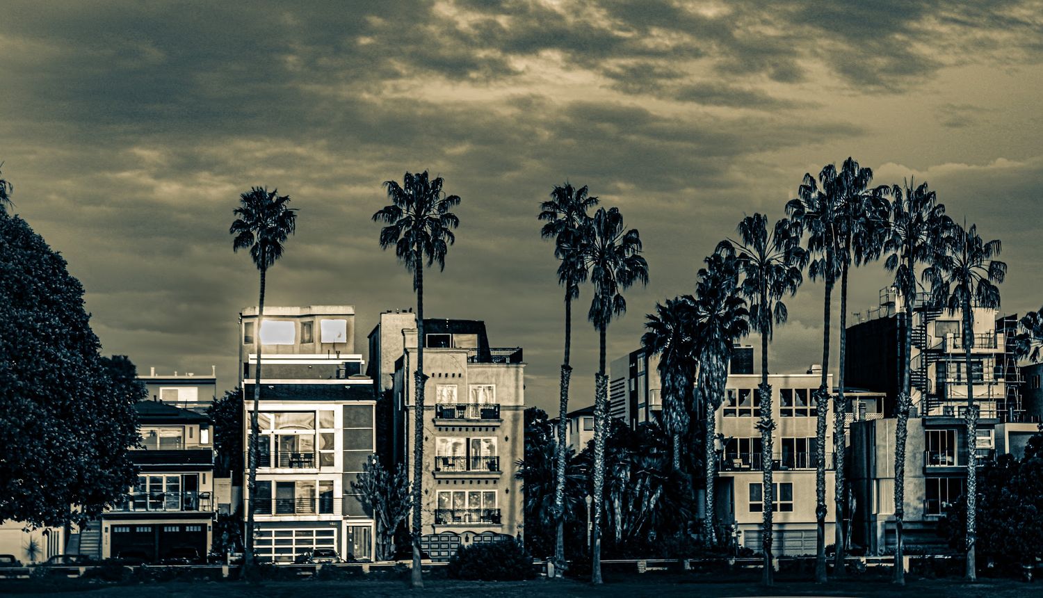A panoramic silhouette of modern coastal Venice Beach homes and palm trees against a dramatic cloudy sunset sky.