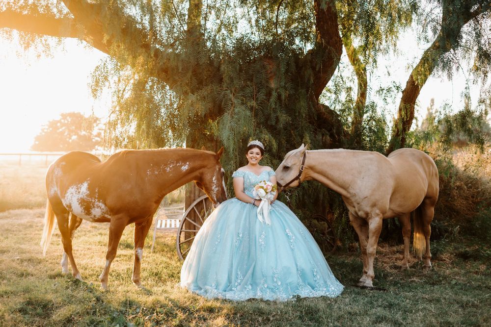 quince horses photography