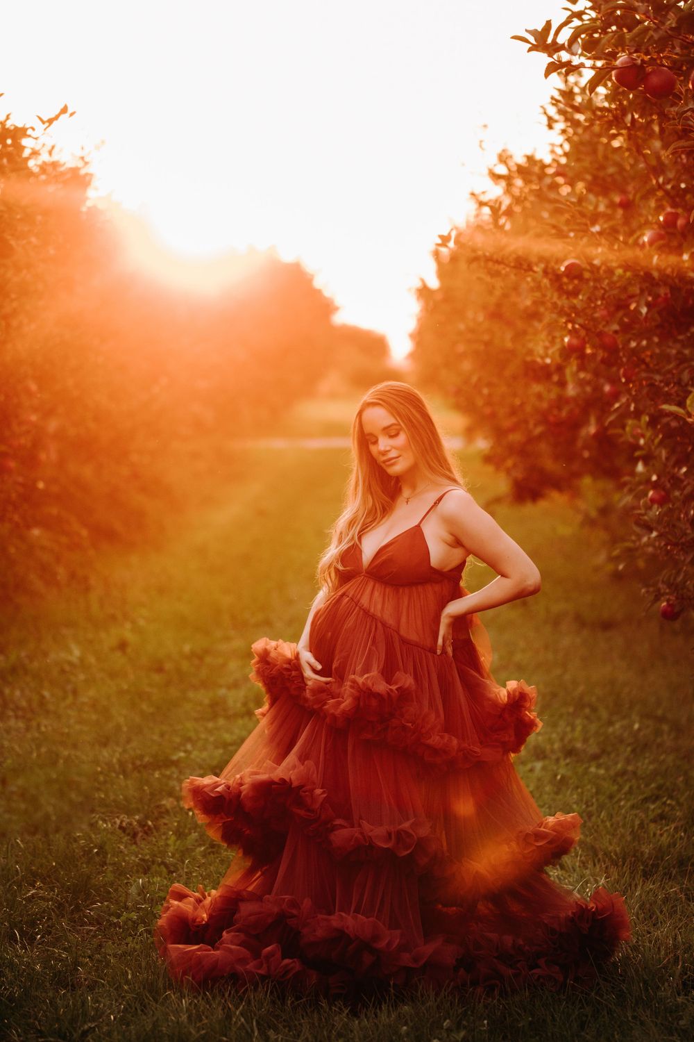 A maternity photo featuring a burgundy tulle gown in an orchard at sunset.