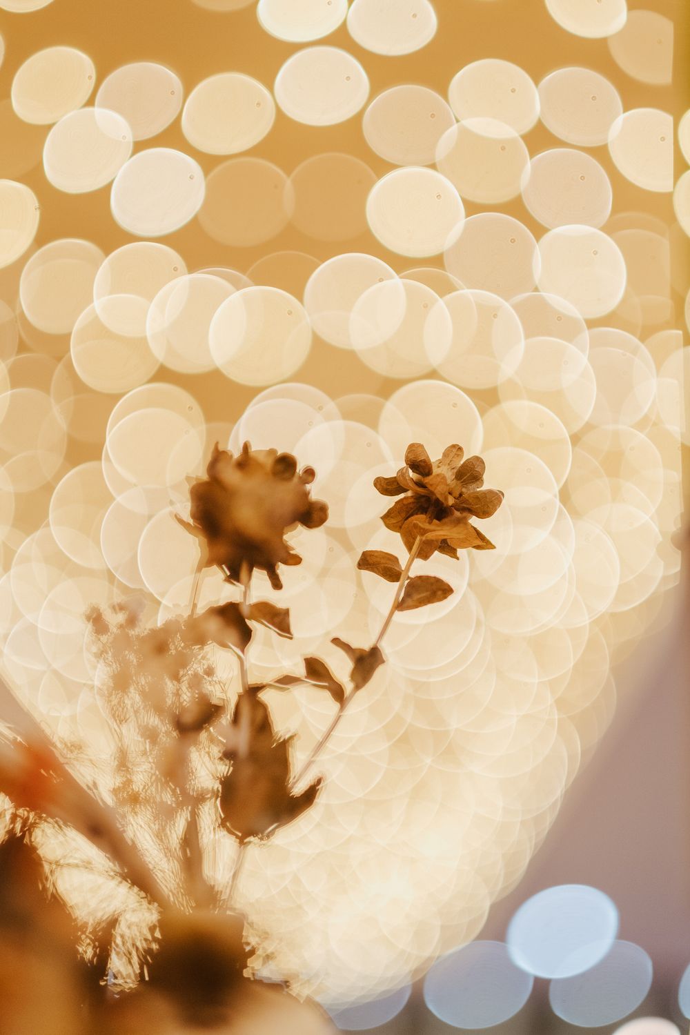 Silhuetas florais delicadas sobre um fundo de luzes douradas com efeito bokeh.