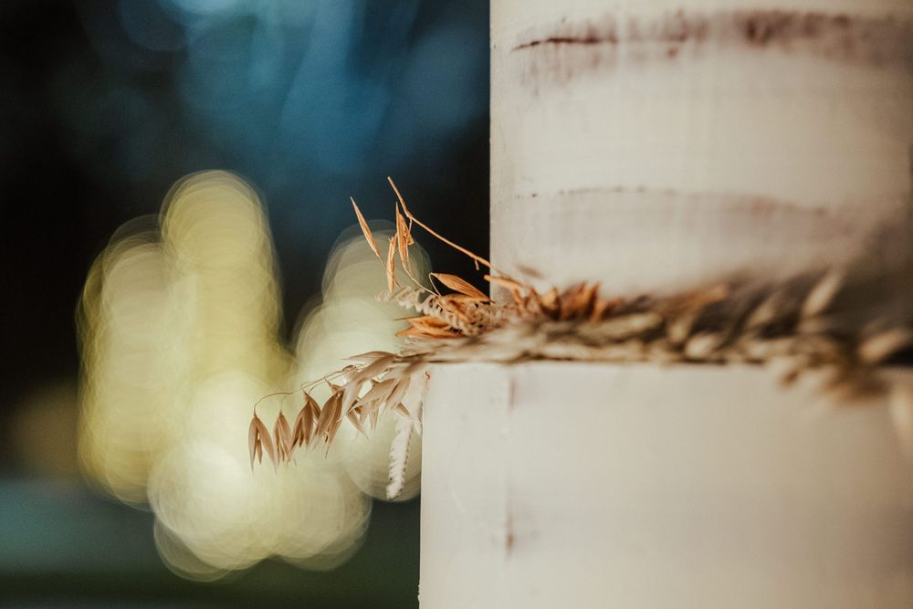 Bolo de casamento semi-despido com cobertura texturada e detalhes botânicos naturais.