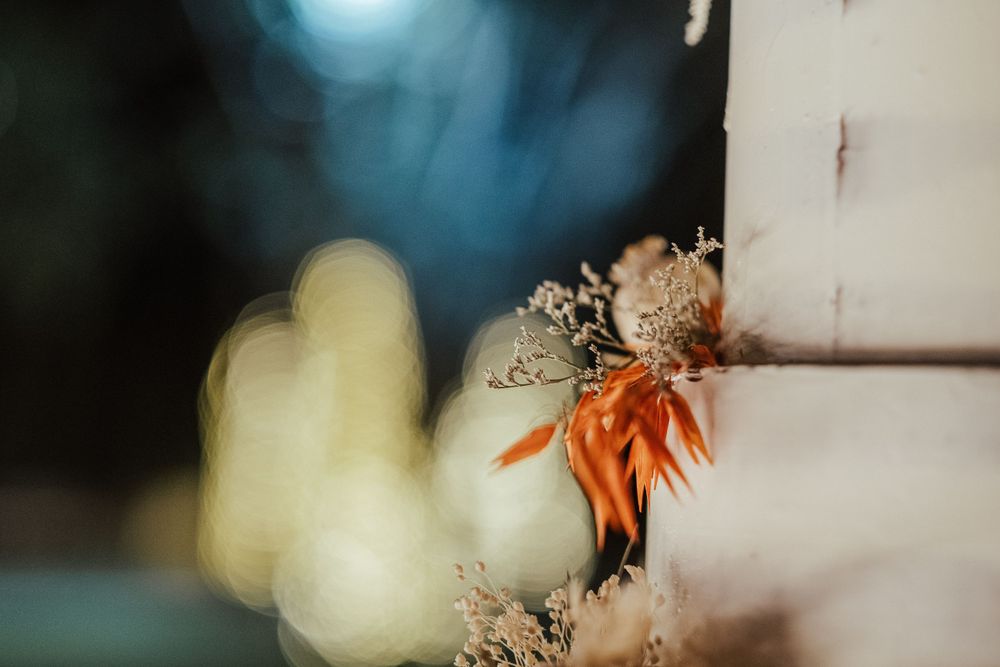 Bolo de casamento artisticamente iluminado com decorações naturais e efeito bokeh no fundo.
