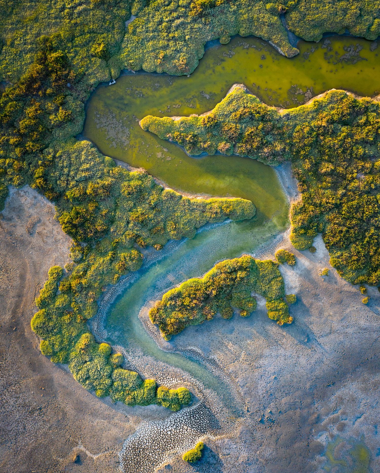 Aerial view of a winding river with turquoise waters cutting through lush green vegetation and sandy terrain.
