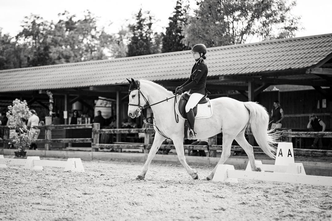 Concours dressage Alsace suivi photo