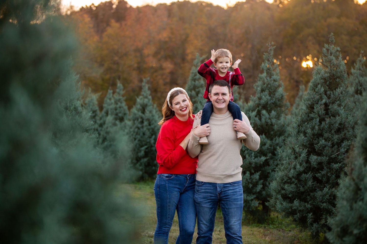 A joyful family poses together among evergreen trees at sunset during the holiday season.