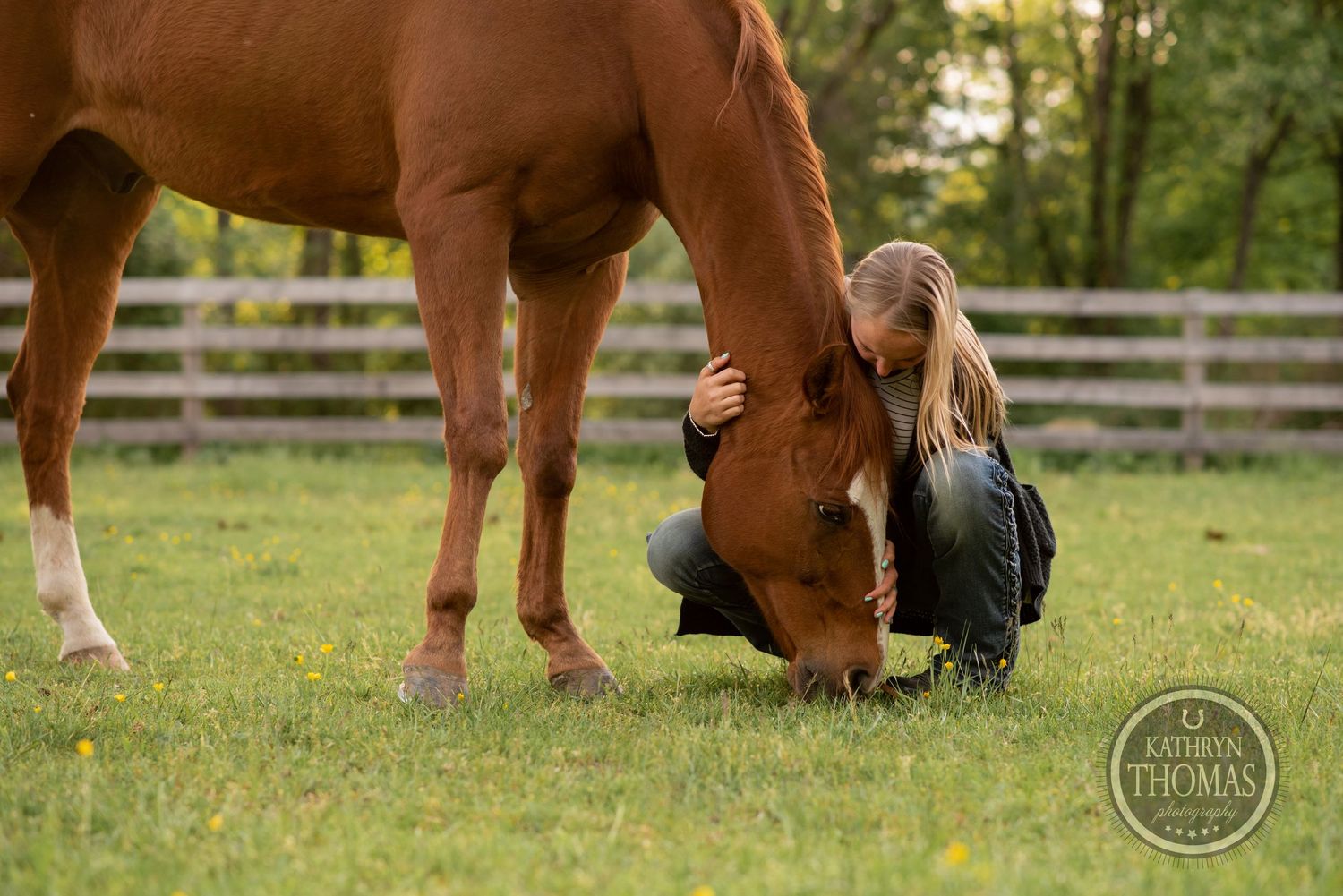 Someone crouches low to embrace a grazing chestnut horse in a fenced pasture.
