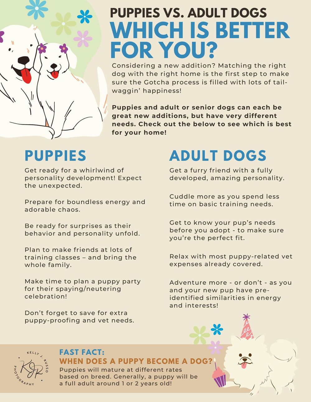 Is a Puppy or Adult Dog Better for You?