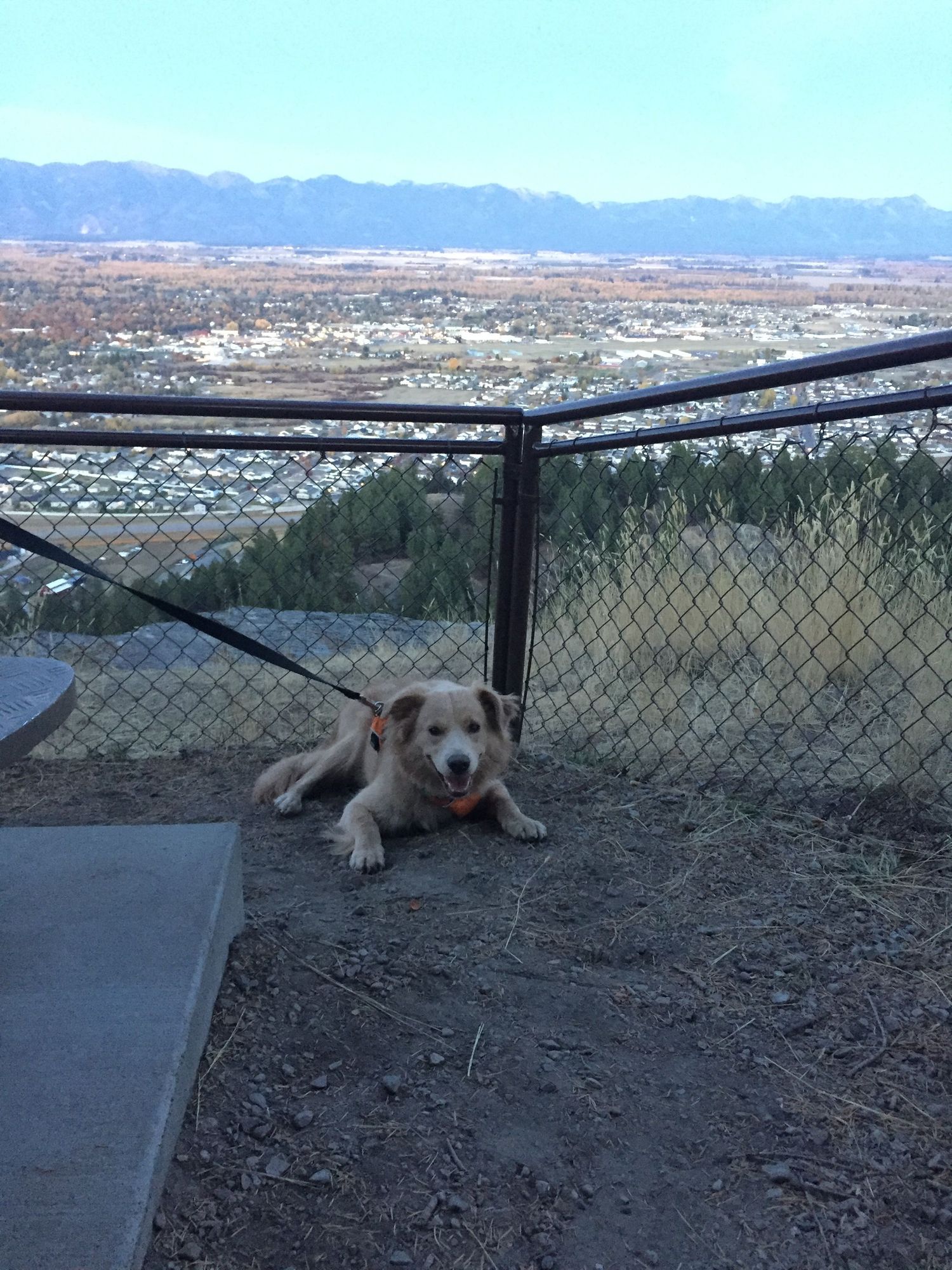 dog on leash at lone pine state park in Kalispell Montana