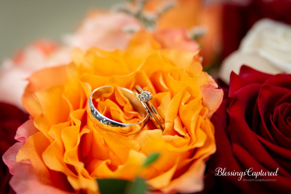 wedding pictures