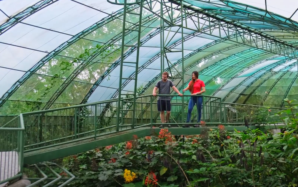 Inside a large greenhouse, visitors explore plants and tropical vegetation under a curved translucent roof.