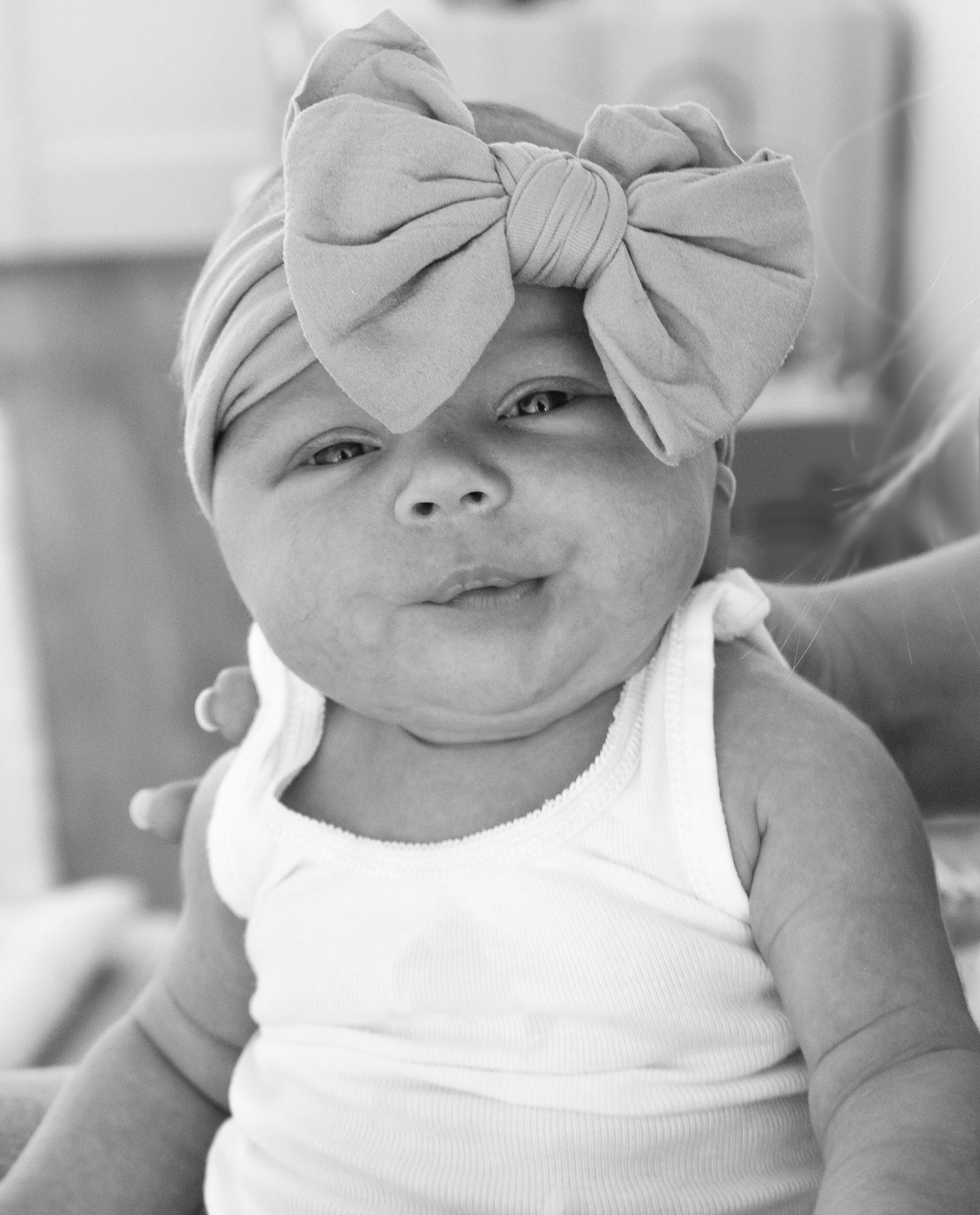 Fig and Olive Photography