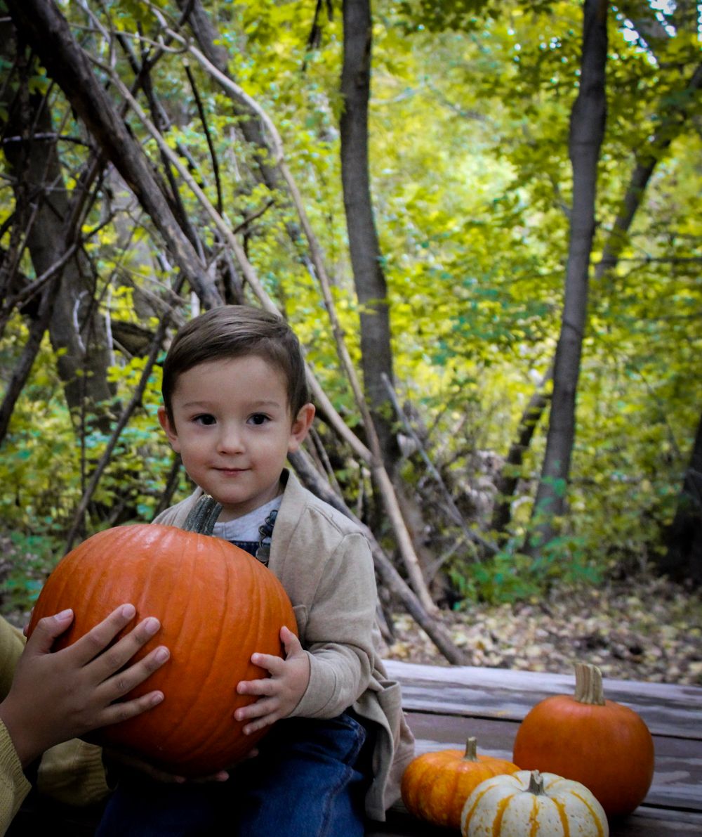 Small child holding large orange pumpkin surrounded by autumn decorations in wooded setting.
