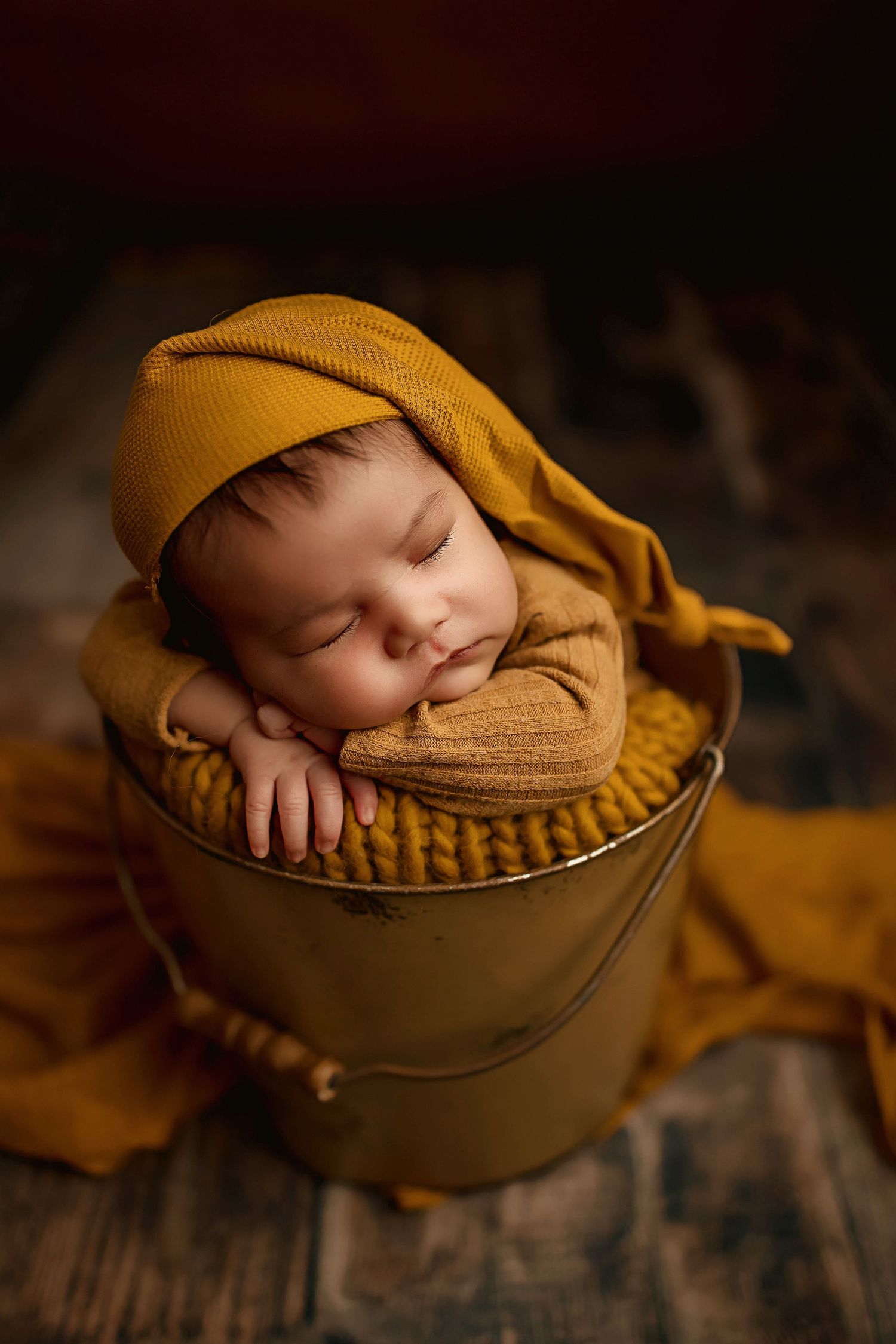Fairbanks Alaska newborn photographer, newborn photographer near me, best Alaska photographer