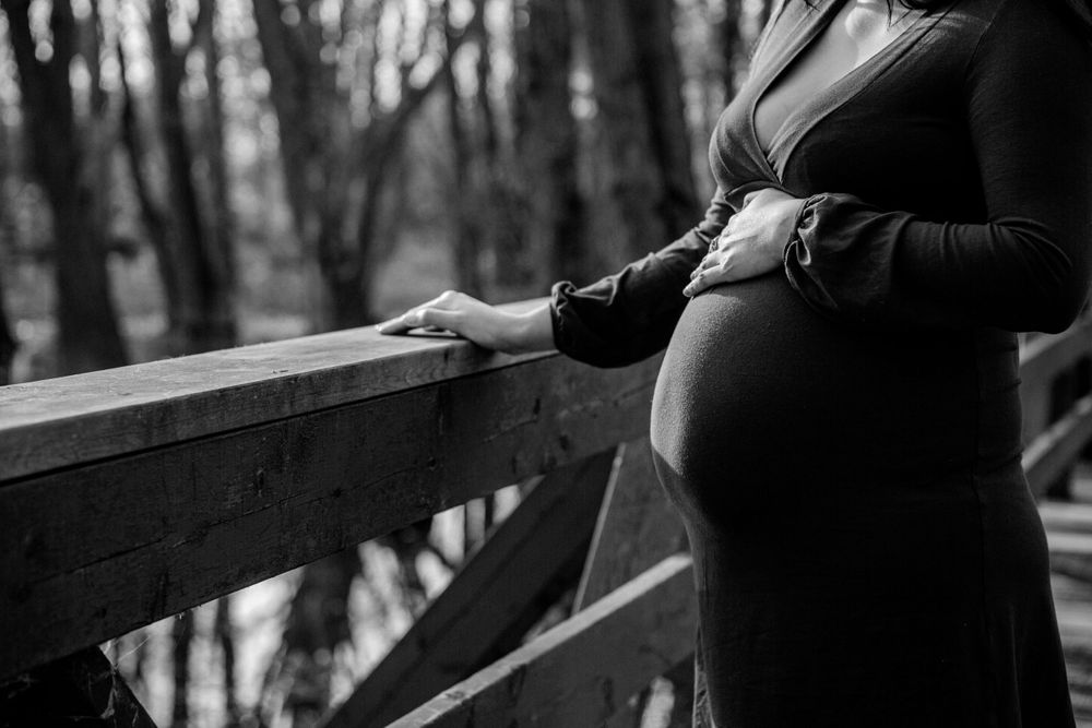 A silhouette of a pregnant belly against a wooden railing in a forest setting.