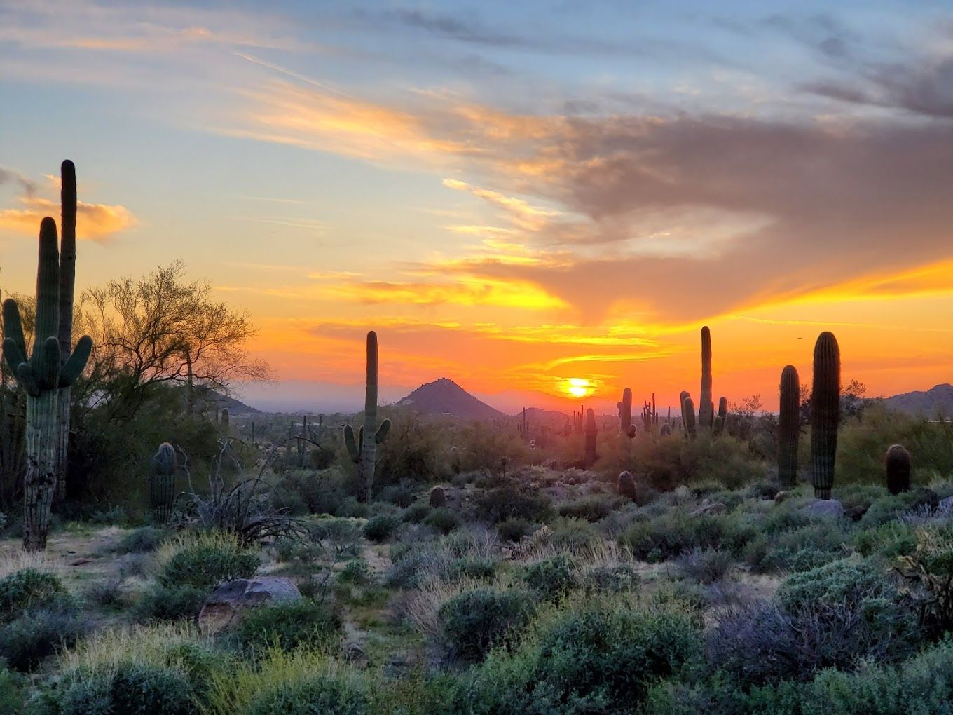 Stunning desert sunset with silhouetted saguaro cacti and mountains in vibrant orange sky.