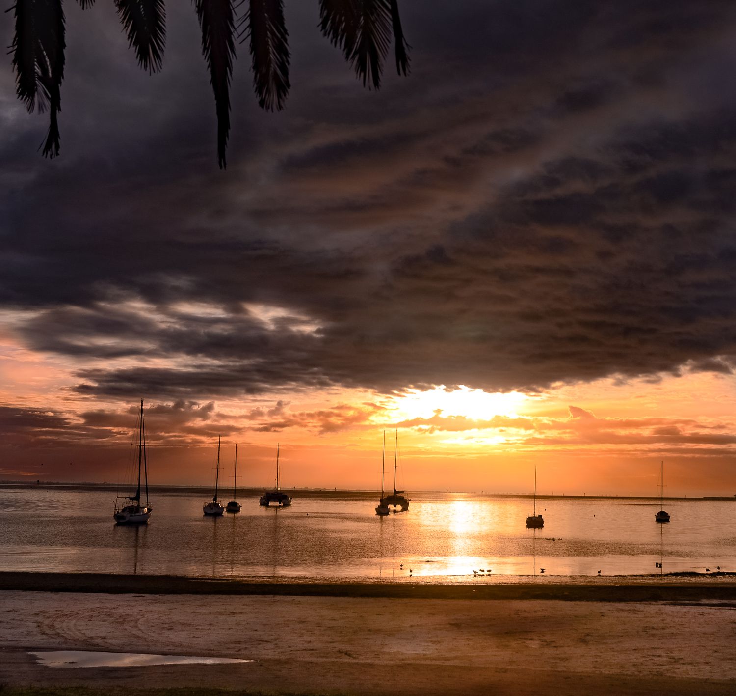 Geelong
