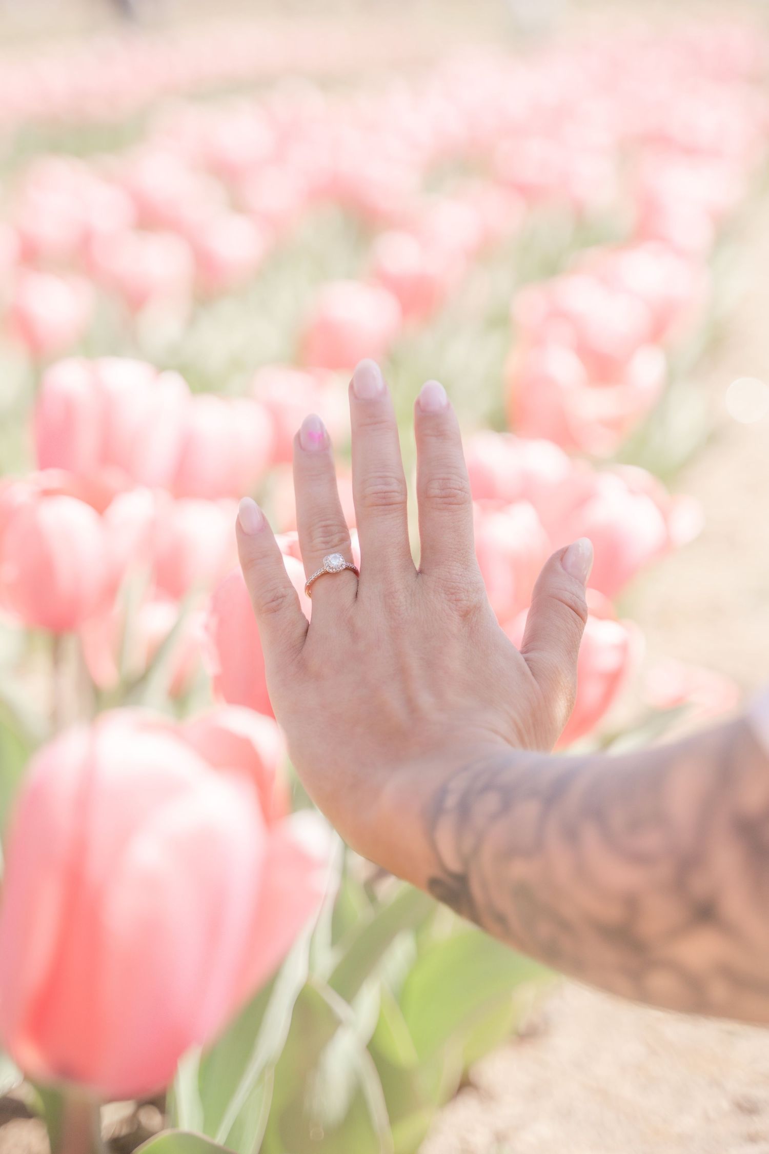 Dewberry Farm Photoshoot Tulip Mini Session Triad Greensboro, NC