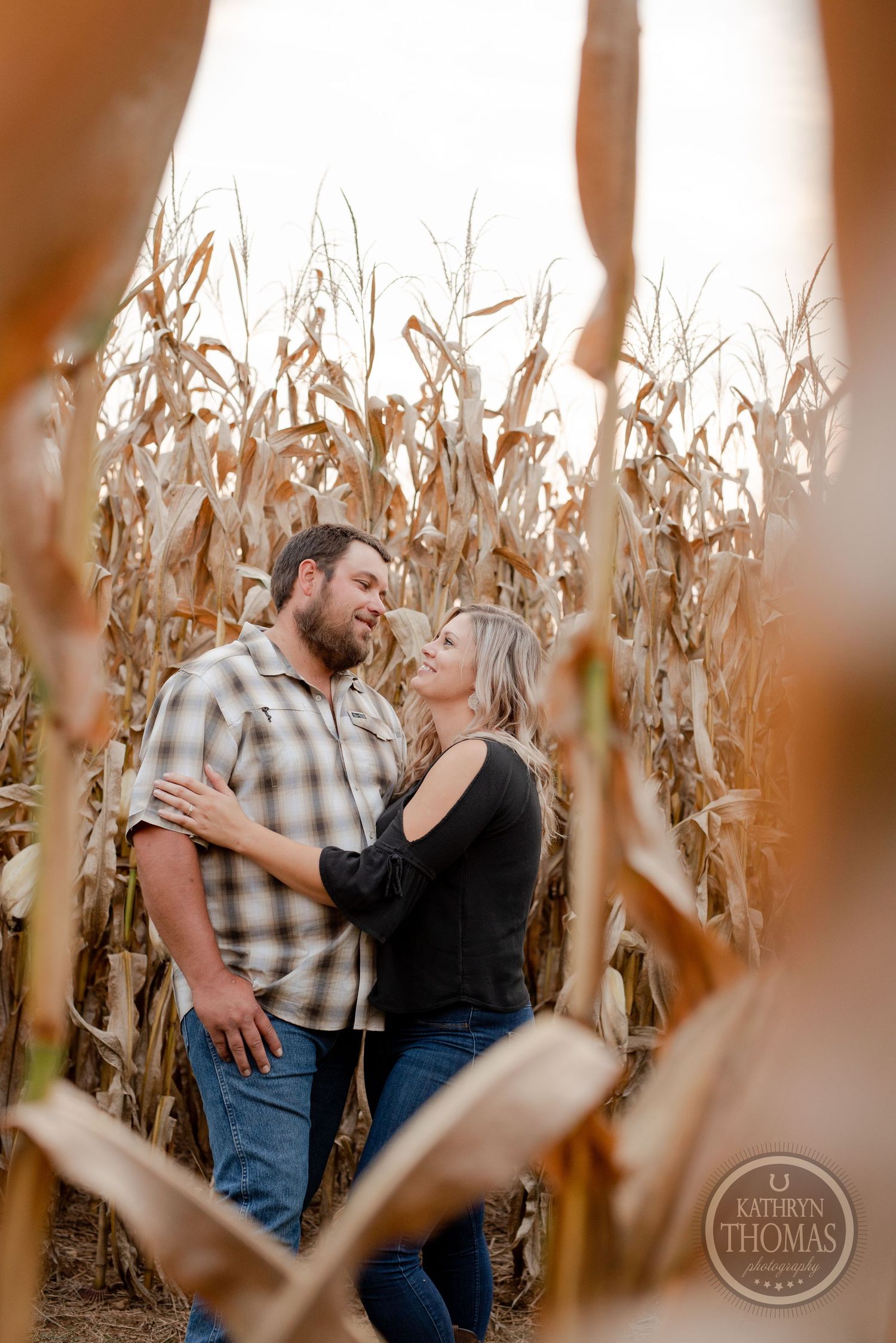 Romantic couple sharing tender moment among dried corn stalks in autumn field.