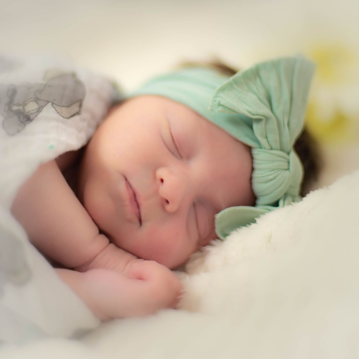 Infant Portrait Session