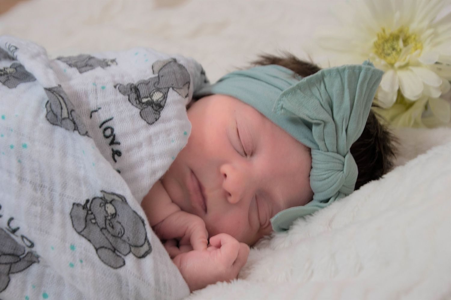 Infant Portrait Session