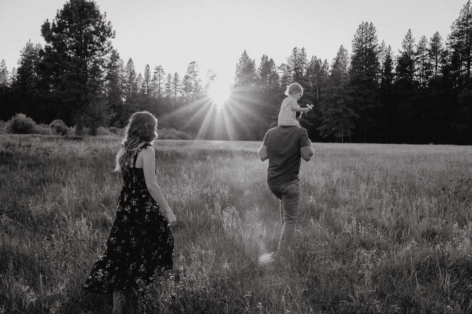 Family walking away in field, with sun beams coming through trees.