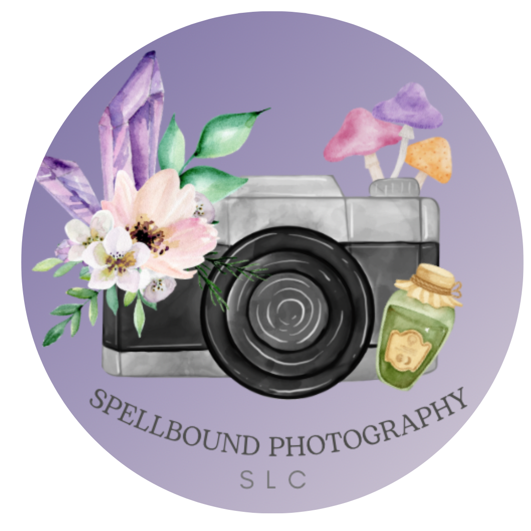 Whimsical photography logo with vintage camera, flowers, and mushrooms on purple background.