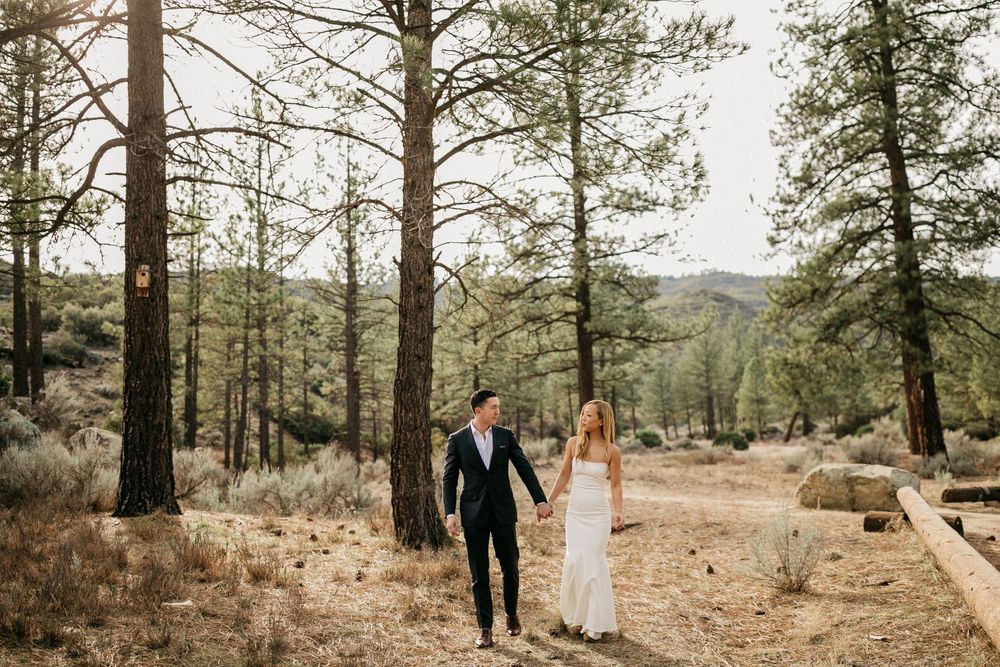 Couple walks hand in hand through pine forest in wedding attire.
