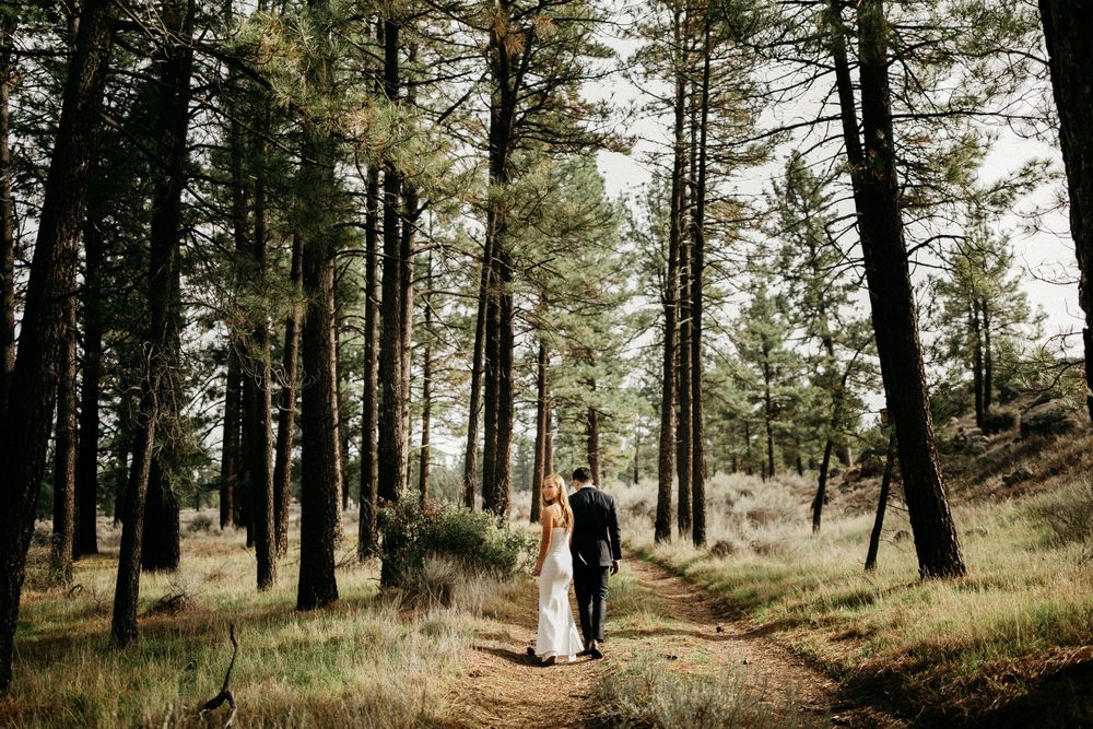A newlywed couple walks hand in hand down a forest path surrounded by tall pine trees.