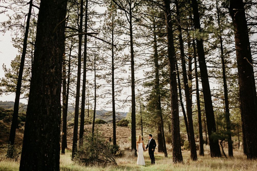 Wedding couple photographed from a distance among tall pine trees in natural setting.