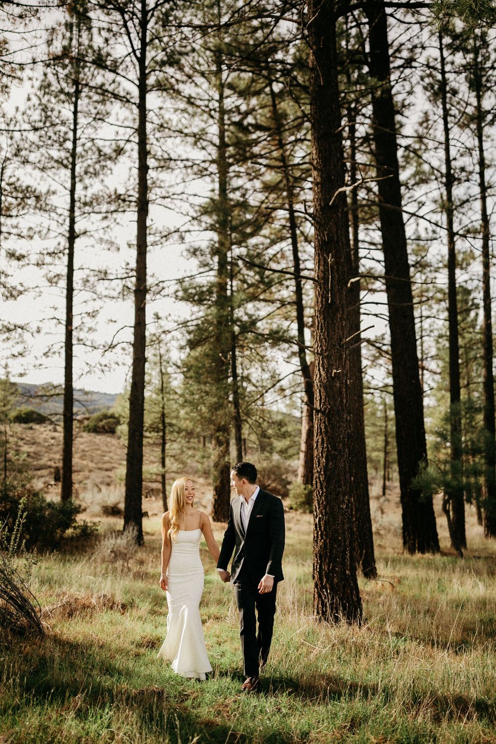 Elegant wedding couple walking through a pine forest bathed in golden sunlight.