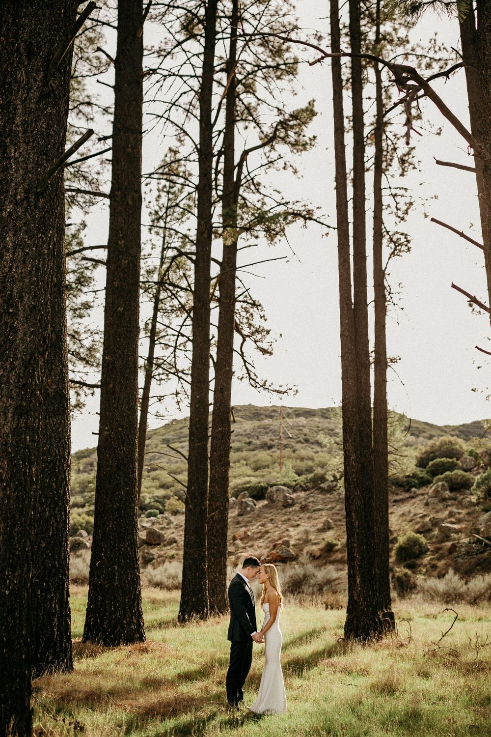Wedding couple standing between tall pine trees in a scenic mountain landscape.