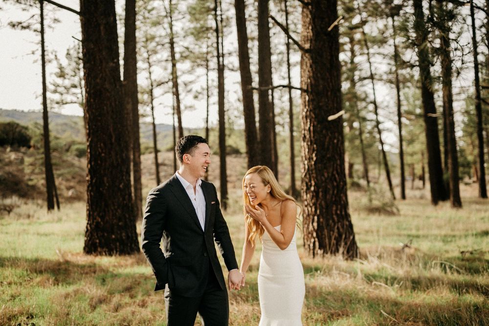 Romantic forest wedding photo of couple walking between tall pine trees in natural sunlight.
