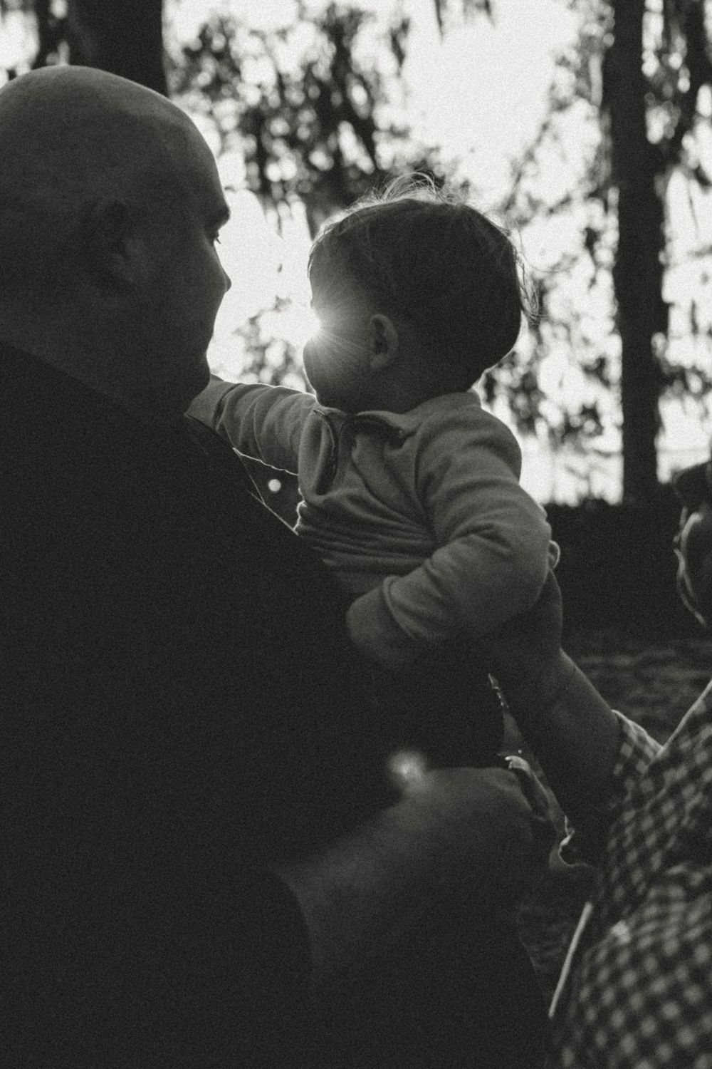 Silhouetted figures against trees holding a small child at dusk.