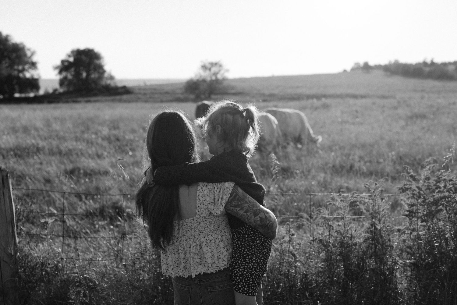 Black and white photo of tender moment in a sunlit field with horses grazing in background.
