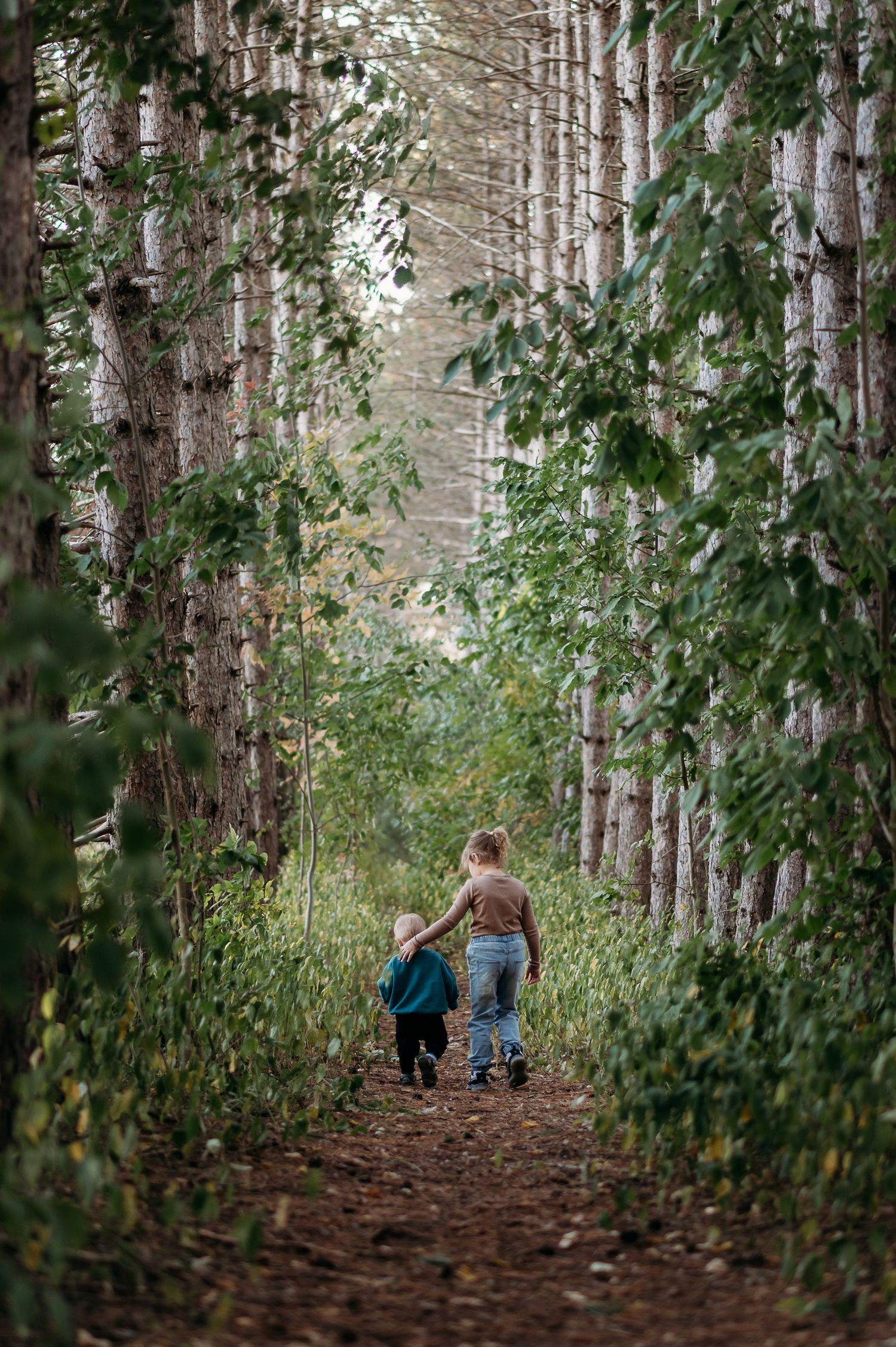 Two people walk hand in hand down a tree-lined path in a peaceful forest setting.