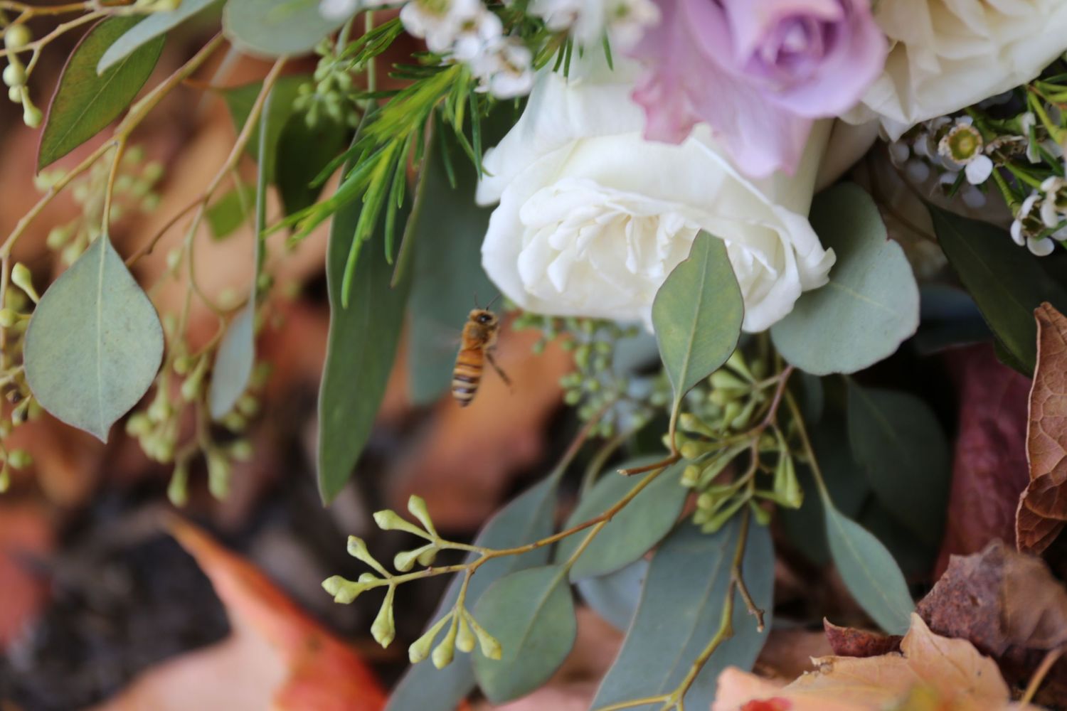 bride's bouquet with bee