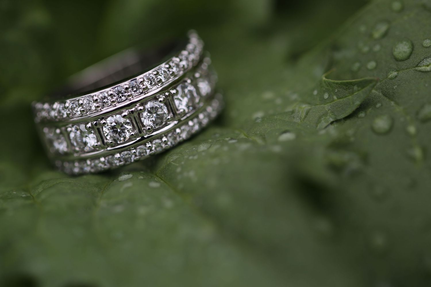engagement ring in nature