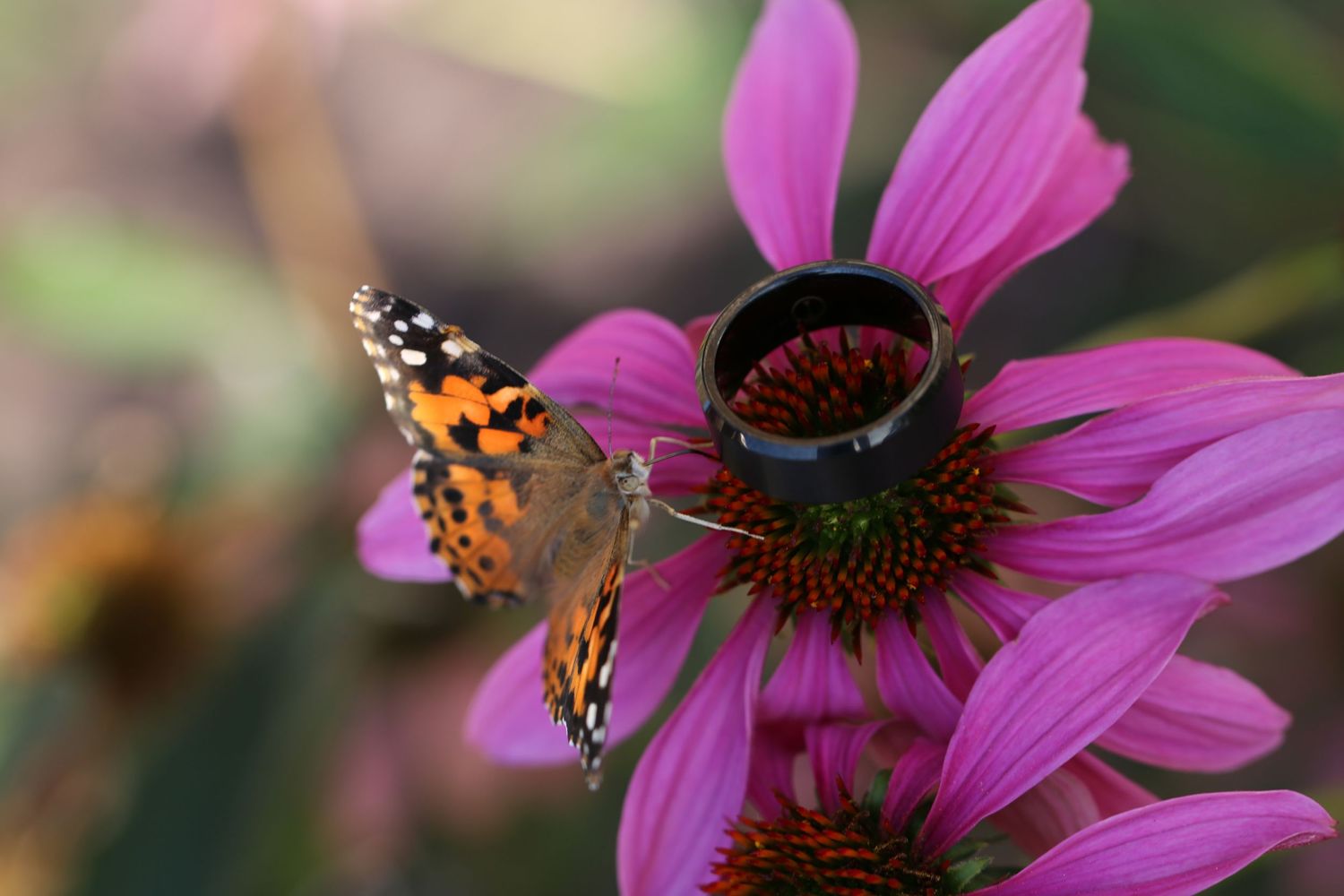 butterfly on groom's ring