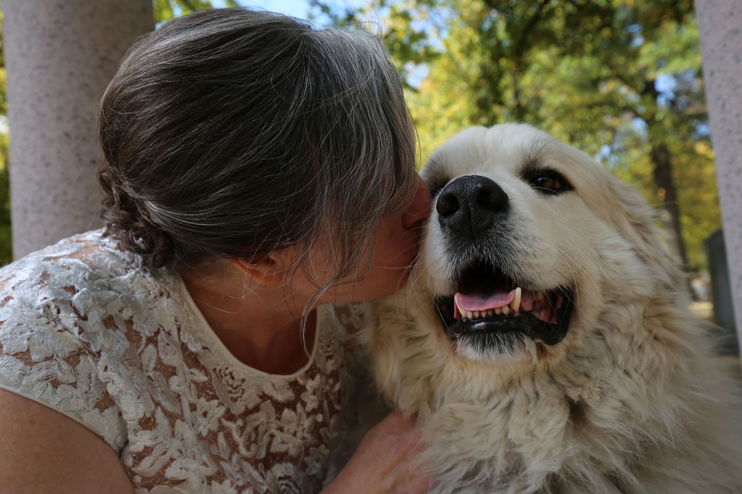 bride with dog