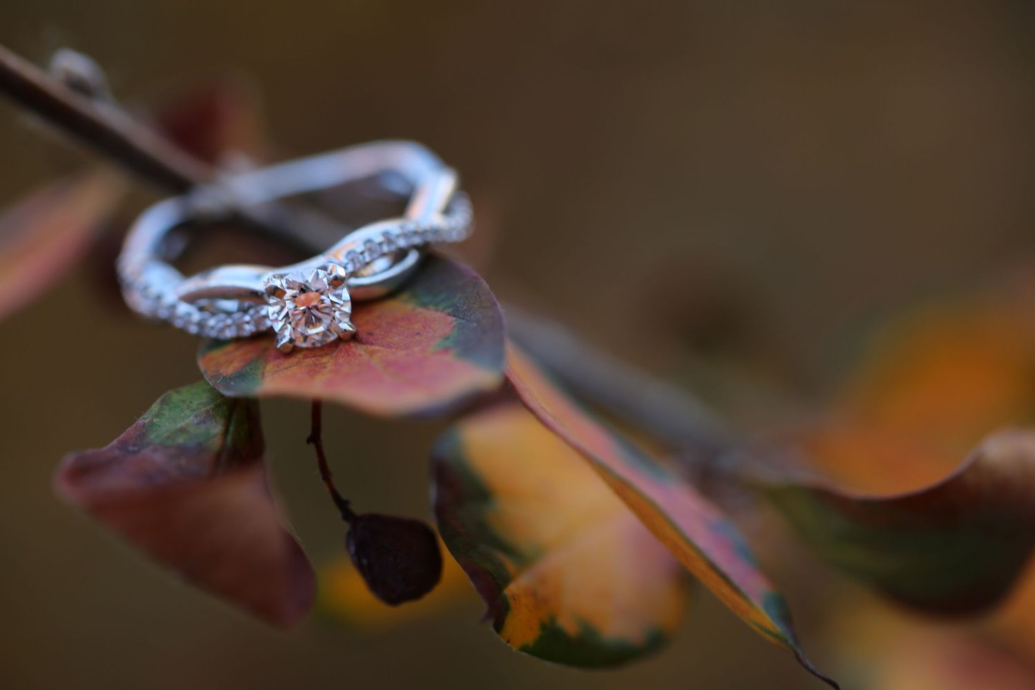 engagement ring with fall leaves