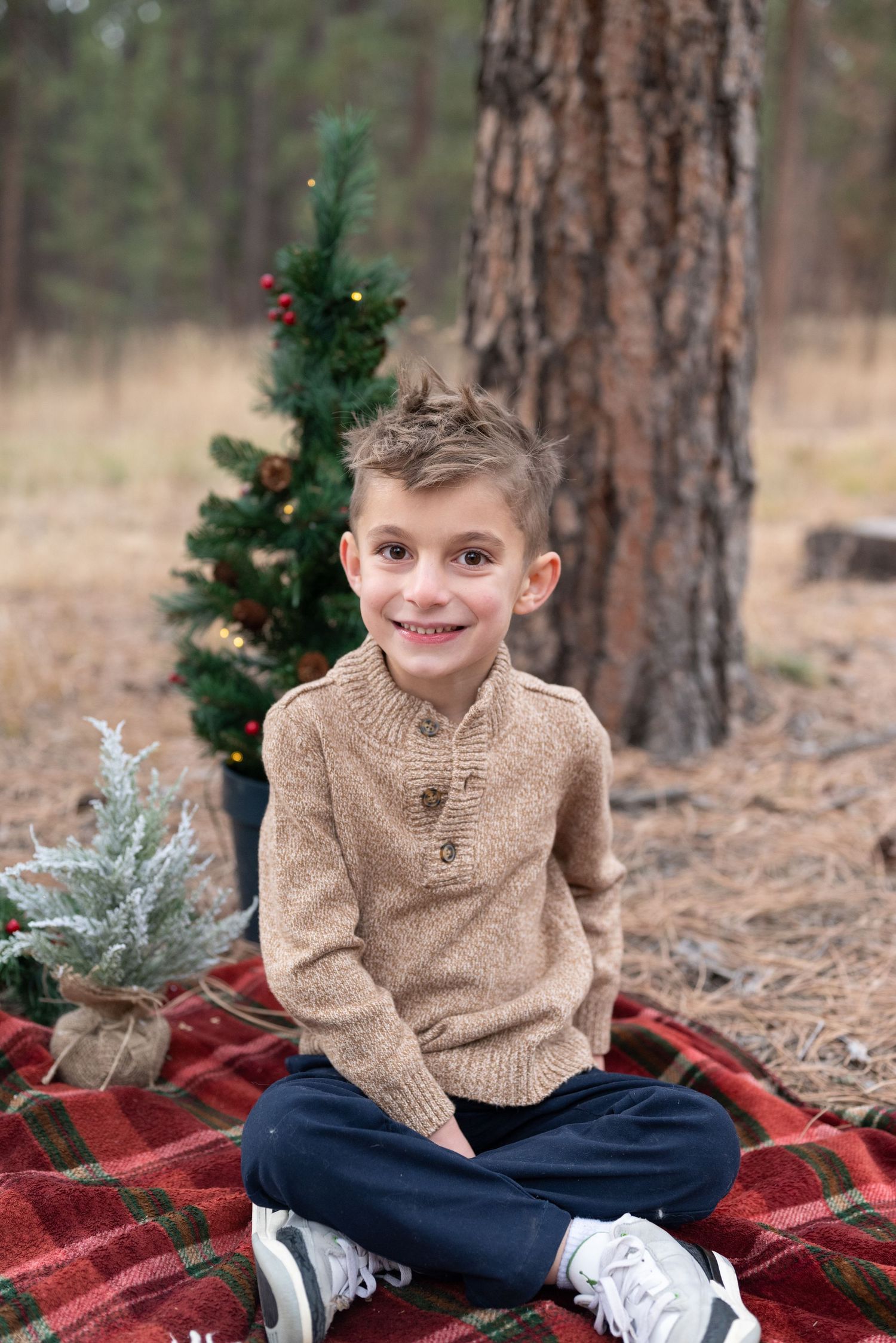 Holiday Mini Sessions in Colorado Springs